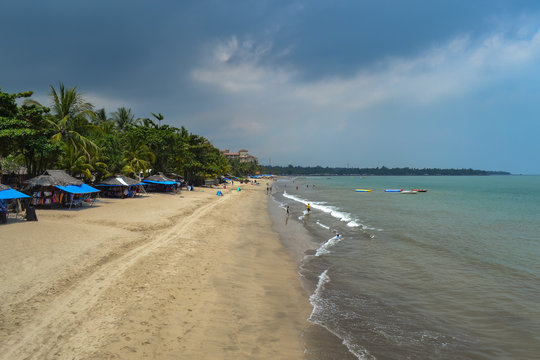 View of Sandy Coastline with Rows of Coconut Trees and People Activities