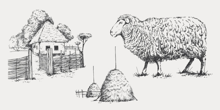 Sheep, farm, bales of hay in a graphic style, freehand drawing of the image. The template for the design of the packaging of farm products and signage natural food stores
