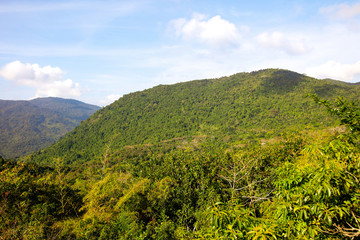 Fototapeta na wymiar Mountains in the jungle on the island.