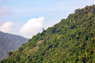 Mountains in the jungle on the island.