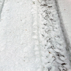 Snow tracks from the wheels of an ATV.