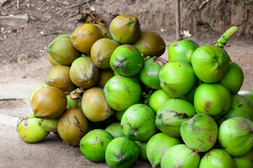 Coconuts lie on the ground