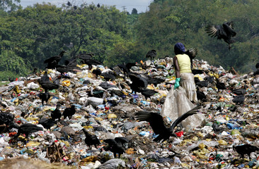 garbage recycling material collectors