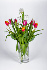 Bunches of tulips in a glass vase