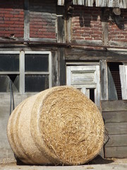 Fenster, Bauernhaus, Bauernhof, Ruine, alt