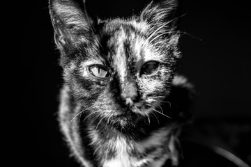 Dark side 
