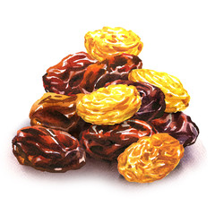 Pile of raisins, mixed yellow and brown raisins, dried berries of grapes. Vegetarian healthy snack, natural sweets, organic food. Isolated objects, hand drawn watercolor illustration, white background