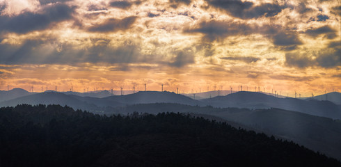 Sunset Golden Cloudscape over a Wind Farm