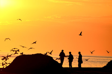 Photo of beach in the evening, sunset sky and rest, romantic background, resort, Ukraine, Skadovsk