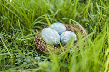 Painted blue textured easter eggs in a brown nest lies in green fresh grass. The concept of the...