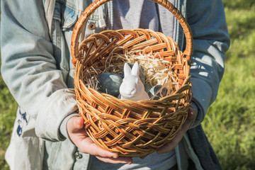 Children's teenage hands hold a wicker brown hand-made basket with blue textured Easter eggs and a white plastic rabbit. The concept of the spring holiday and egg hunting.