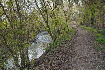 die selz bei gau-köngernheim