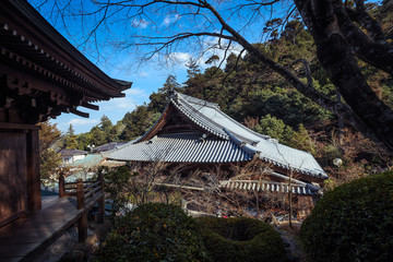 Miyajima, Japan - January 02, 2020: Cityscape to the Walking Tourists and  Itsukushima streets