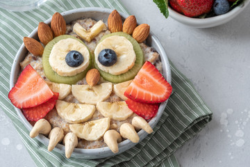 Cute owl shaped breakfast healthy oatmeal porridge for kids