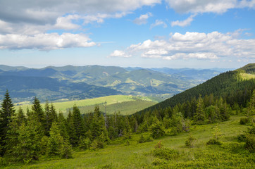 Carpathian landscape with mountain, fir forests, grassy meadow, against the background mountain range and sky with clouds