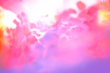 abstract background with bokeh