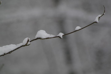 Winterlandschaft, Bäume, Schnee, Winter, Wald, Wege, Frost, 