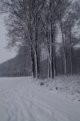 Fototapeta premium Winterlandschaft, Bäume, Schnee, Winter, Wald, Wege, Frost, 