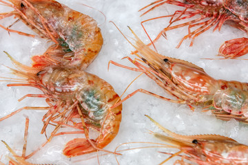 Boiled sea prawns lie on ice. Shrimps are laid out one at a time in a refrigerated display case.