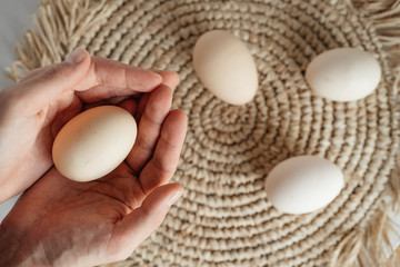 one chicken egg in men's hands.