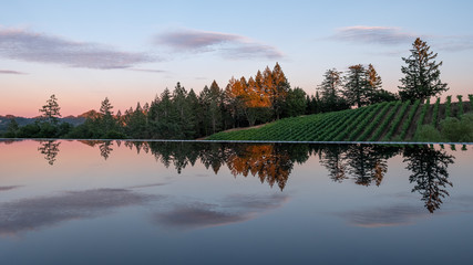 Sunset over vineyard and infinity pool - red clouds - Napa