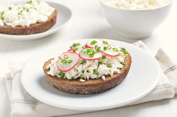 Appetizer with curd cheese, radish and green onion