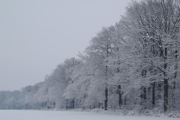 Winterlandschaft, Bäume, Schnee, Winter, Wald, Wege, Frost, 