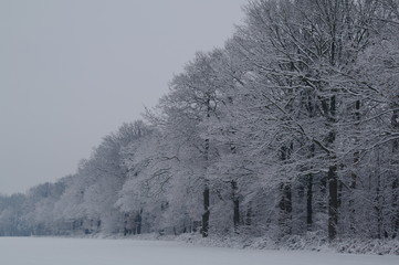 Winterlandschaft, Bäume, Schnee, Winter, Wald, Wege, Frost, 