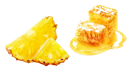 Honey comb pineapple set watercolor isolated on white background