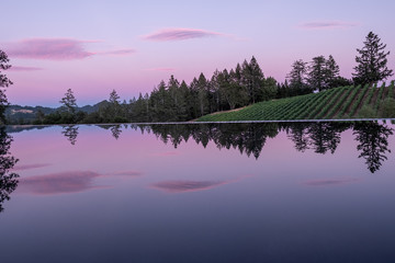 Dusk Sunset over vineyard and infinity pool - red clouds - Napa