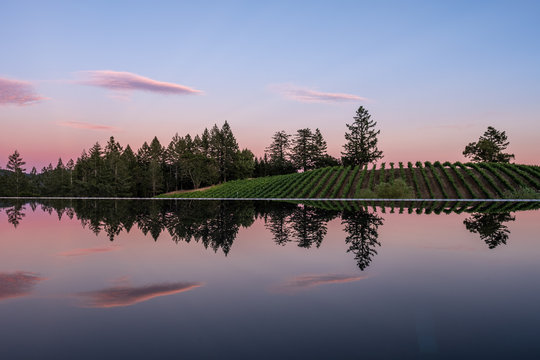 Sunset over vineyard and infinity pool - red clouds - Napa