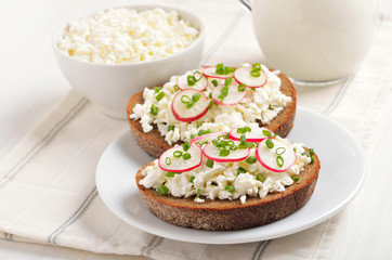 Appetizer with curd cheese, radish and green onion