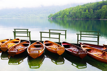 Lake Bohinj in Triglav national park, Slovenia