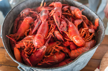 Fresh boiled lobsters in Maine, USA