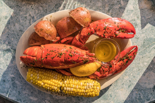Maine Lobster dinner.