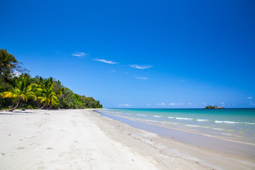 Lonely beach in paradise with a palm tree, white sand and turquoise water. Daintree National Park, Queensland, Australia.