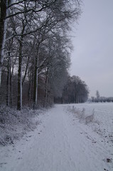 Winterlandschaft, Winter, Schnee, Frost, Weg, Feldweg, Bäume, Wald, Landschaft