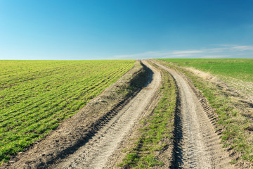 Fototapeta na wymiar Dirt road through sown fields, view on a sunny day