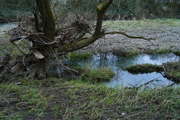 Fluss Landschaft nach einem Hochwasser im März