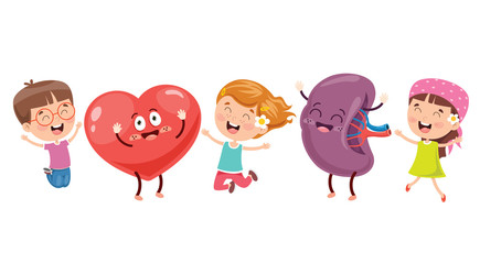 Cartoon Concept Of Human Organs