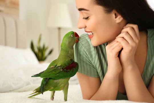 Young woman with Alexandrine parakeet indoors, closeup. Cute pet