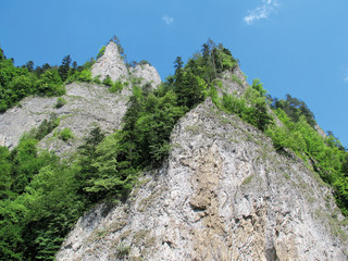Peaks of rocks in Pieniny National Park. State border Slovakia and Poland.