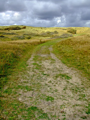Weg, Heide, Landschaft, Heidelandschaft, Wiese