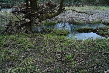 Fluss Landschaft mit wellen und Spiegelungen im Wasser
