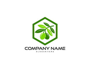 olive with hexagon logo design vector