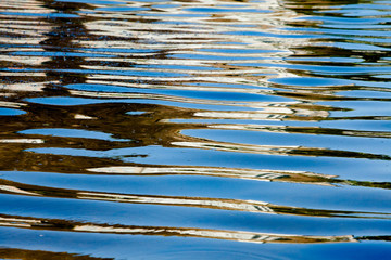 Reflections in the pond 3
