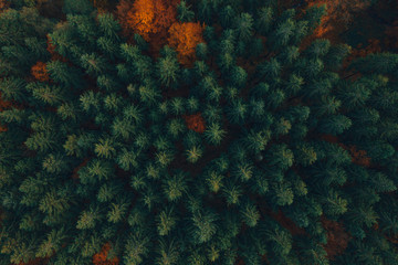 Ladscape drone photo of mountains and trees colored into fall colors. 