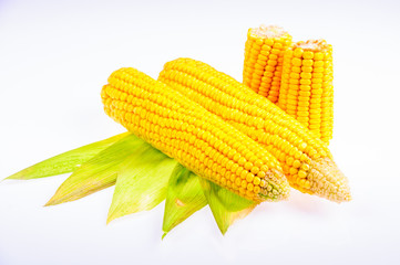 Ripe corn on the cob on a white background