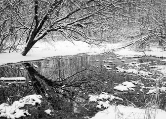 Fototapeta premium A small stream flows through a snowy winter landscape in the Midwest.