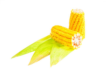 Ripe corn on the cob on a white background